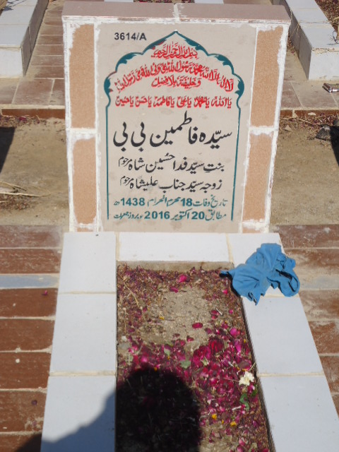 13614 – Syeda Fatimeen Bibi