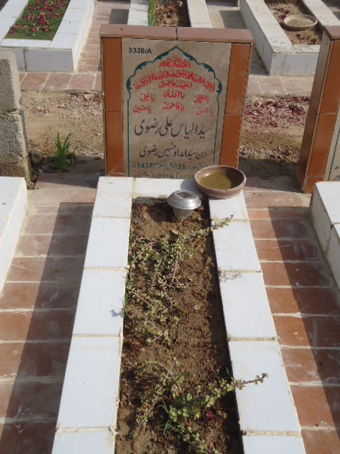 13320 – Syed Ilyas Ali Rizvi