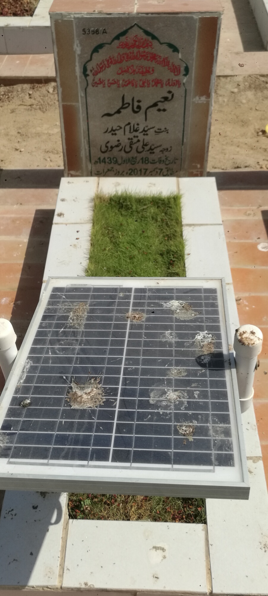 16368 – Naeem Fatima