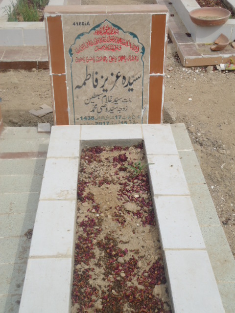 14160 – Syeda Aziz Fatima