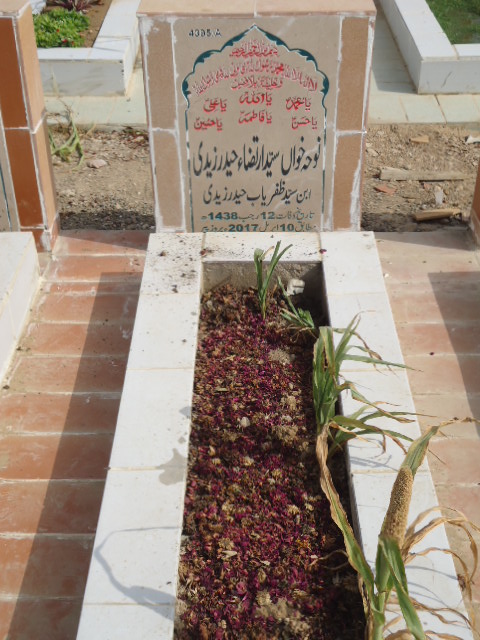 14395 – Syed Irteza Haider Zaidi