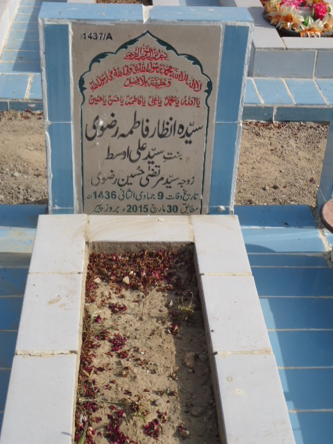 11437 – Syeda Anzar Fatima Rizvi