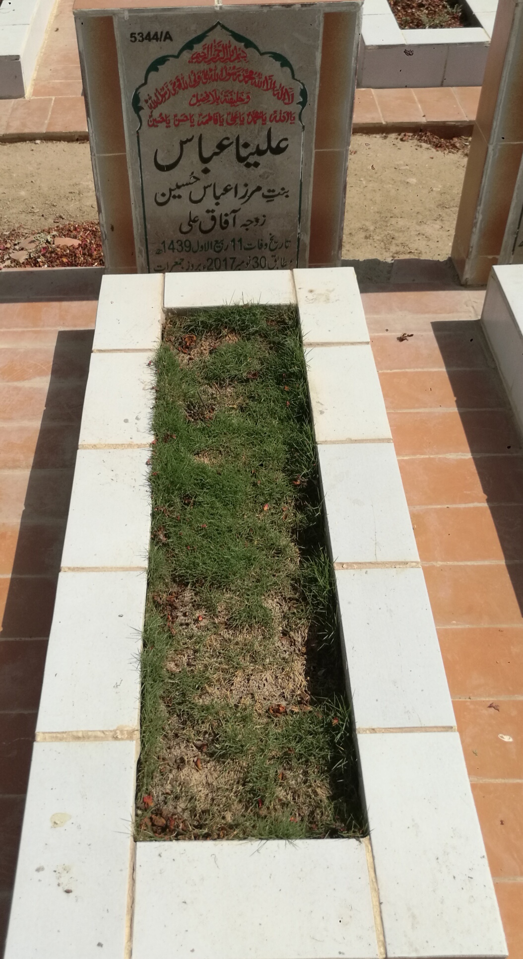 15344 – Alina Abbas
