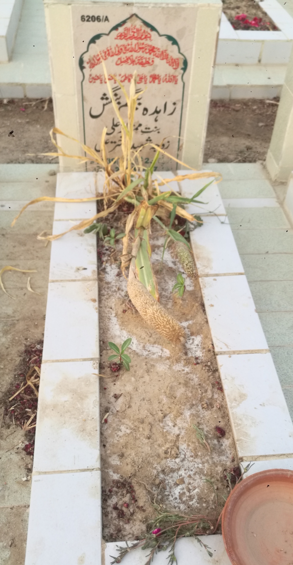 16206 – Zahida Begum Bangash