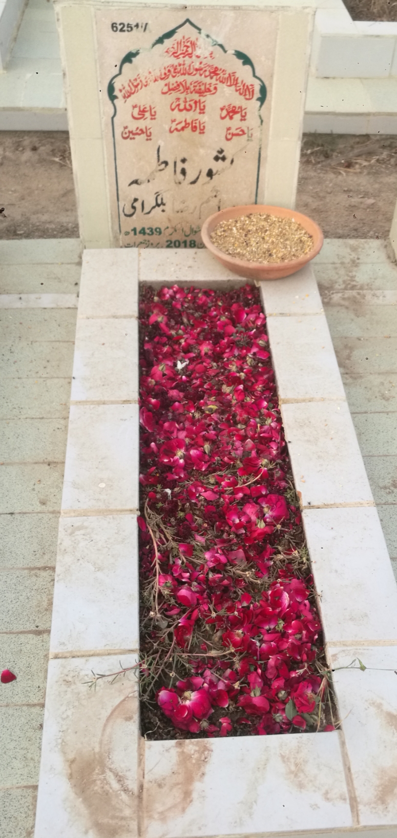 16251 – Kishwar Fatima