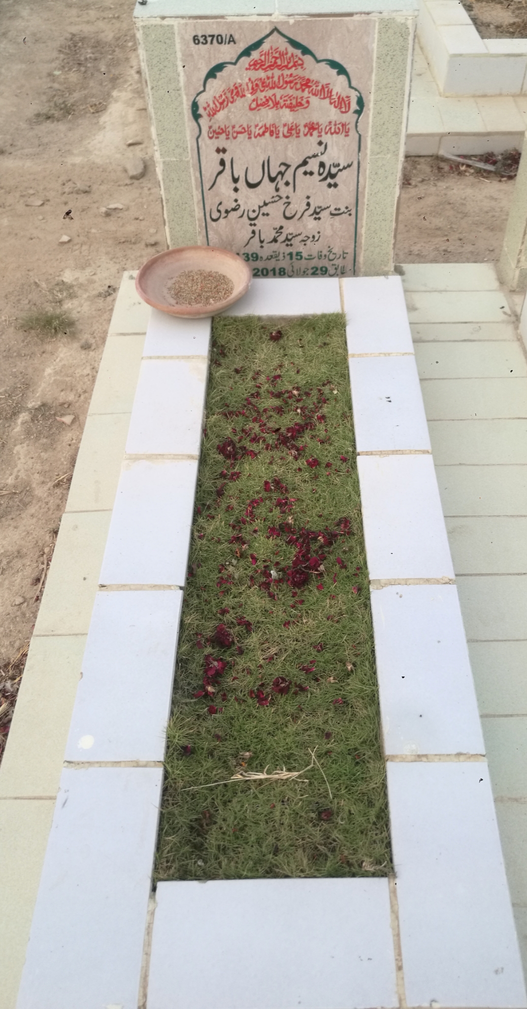 16370 – Syeda Naseem Jahan Baqar