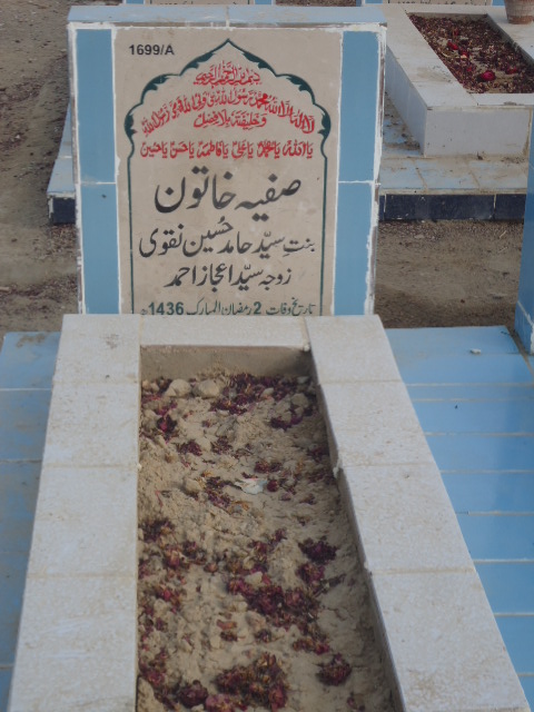 11699 – Safiya Khatoon