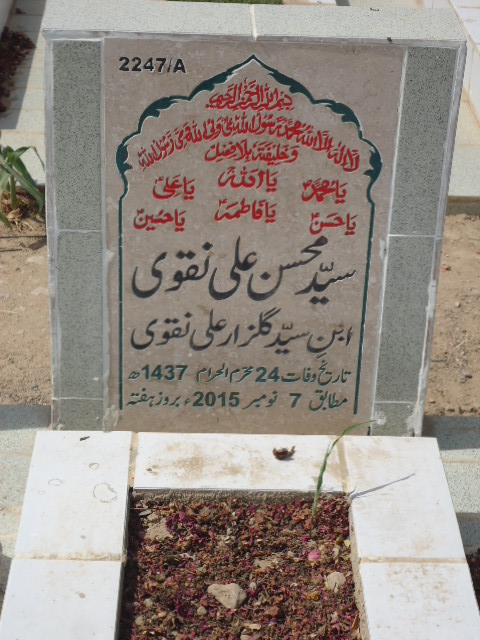 12247 – Syed Mohsin Ali Naqvi