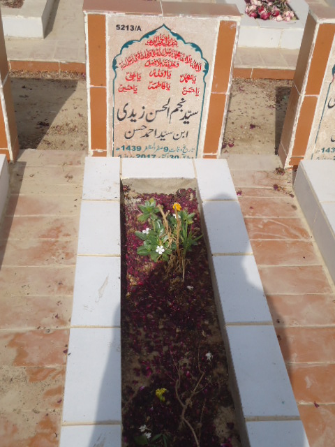 15213 – Syed Najmul Hassan Zaidi