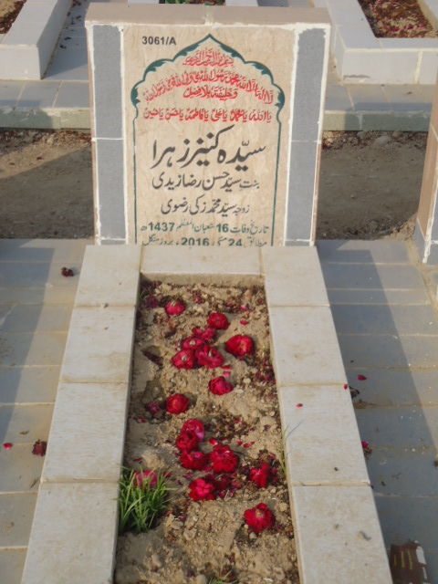 13061 – Syeda Kaneez Zehra