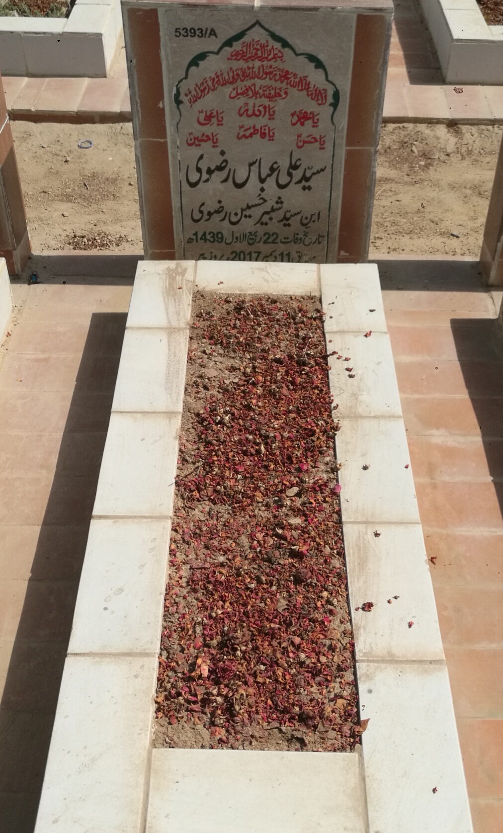 15393 – Syed Ali Abbas Rizvi