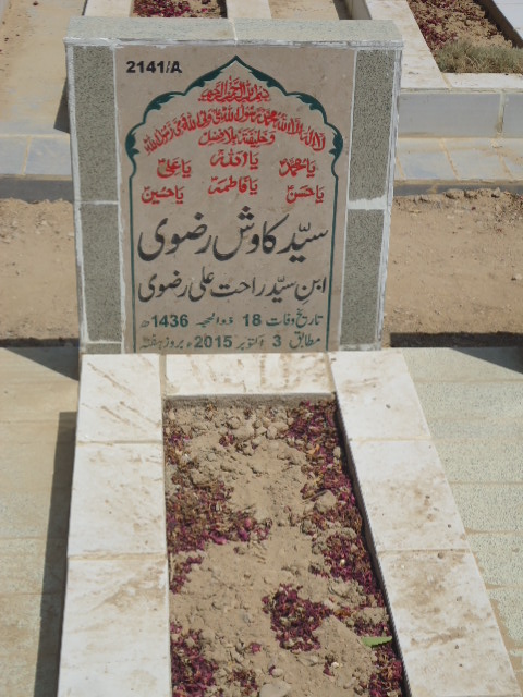 12141 – Syed Kawish Rizvi