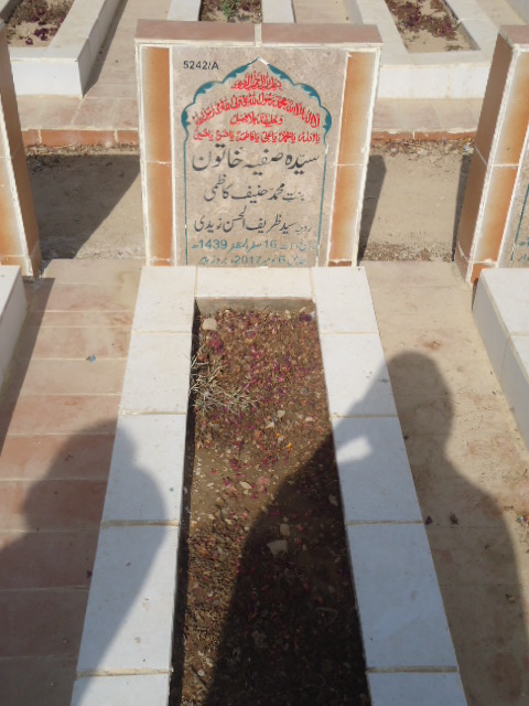 15242 – Syeda Safia Khatoon