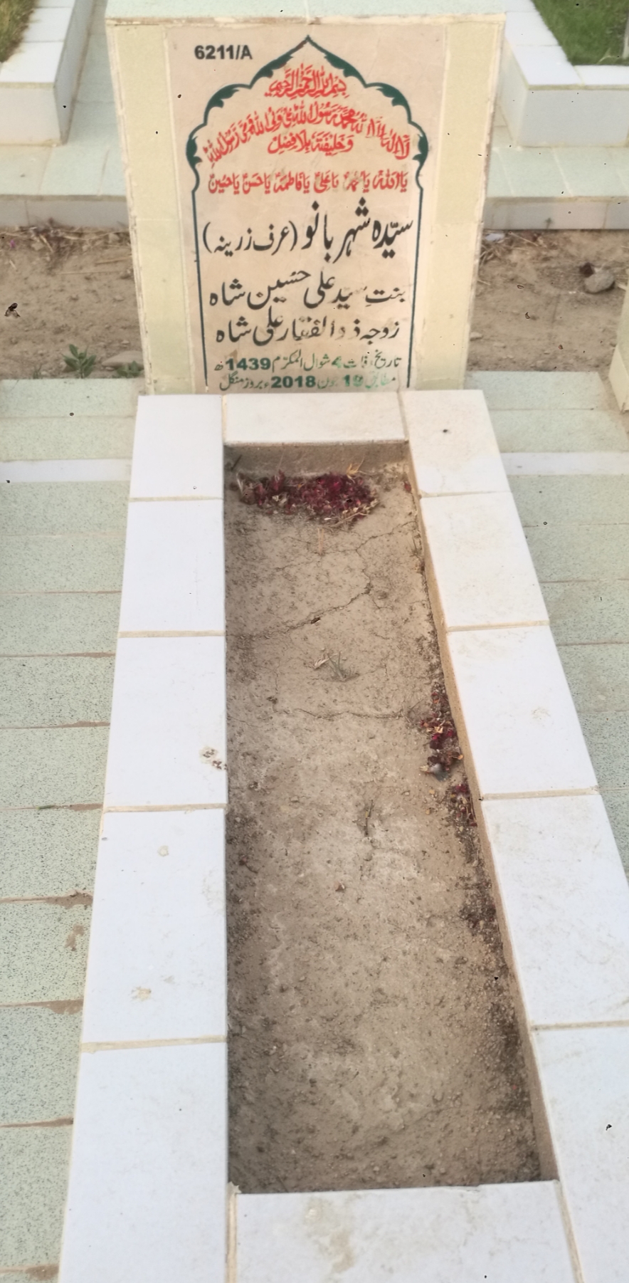 16211 – Syeda Sheharbano