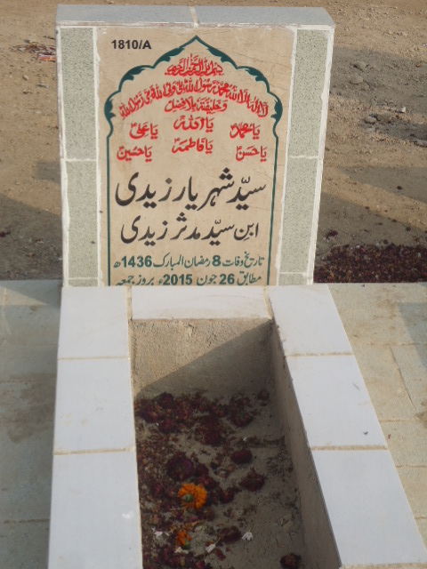 11810 – Syed Sheharyar Zaidi