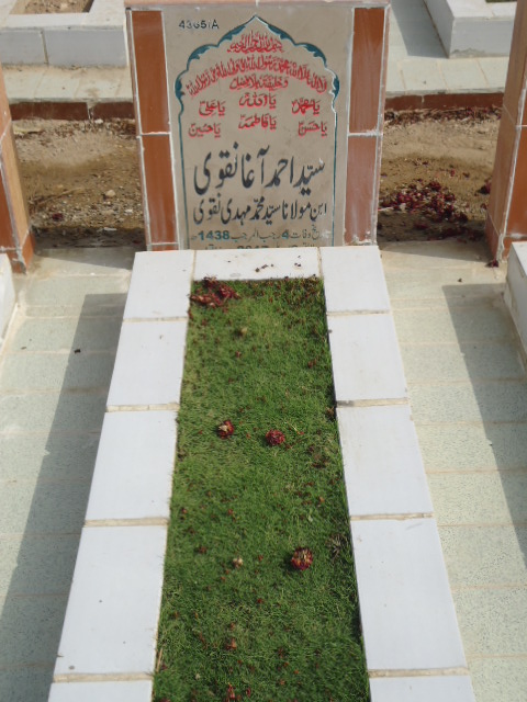 14365 – Syed Ahmed Agha Naqvi