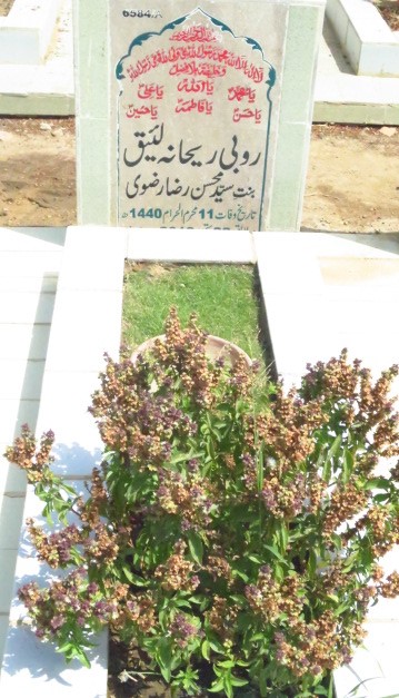 16584 – Rubi Rehana Laeeq