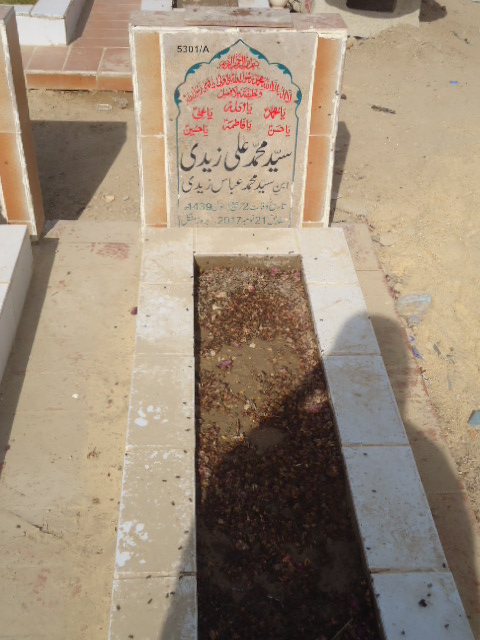 15301 – Syed Muhammad Ali Zaidi
