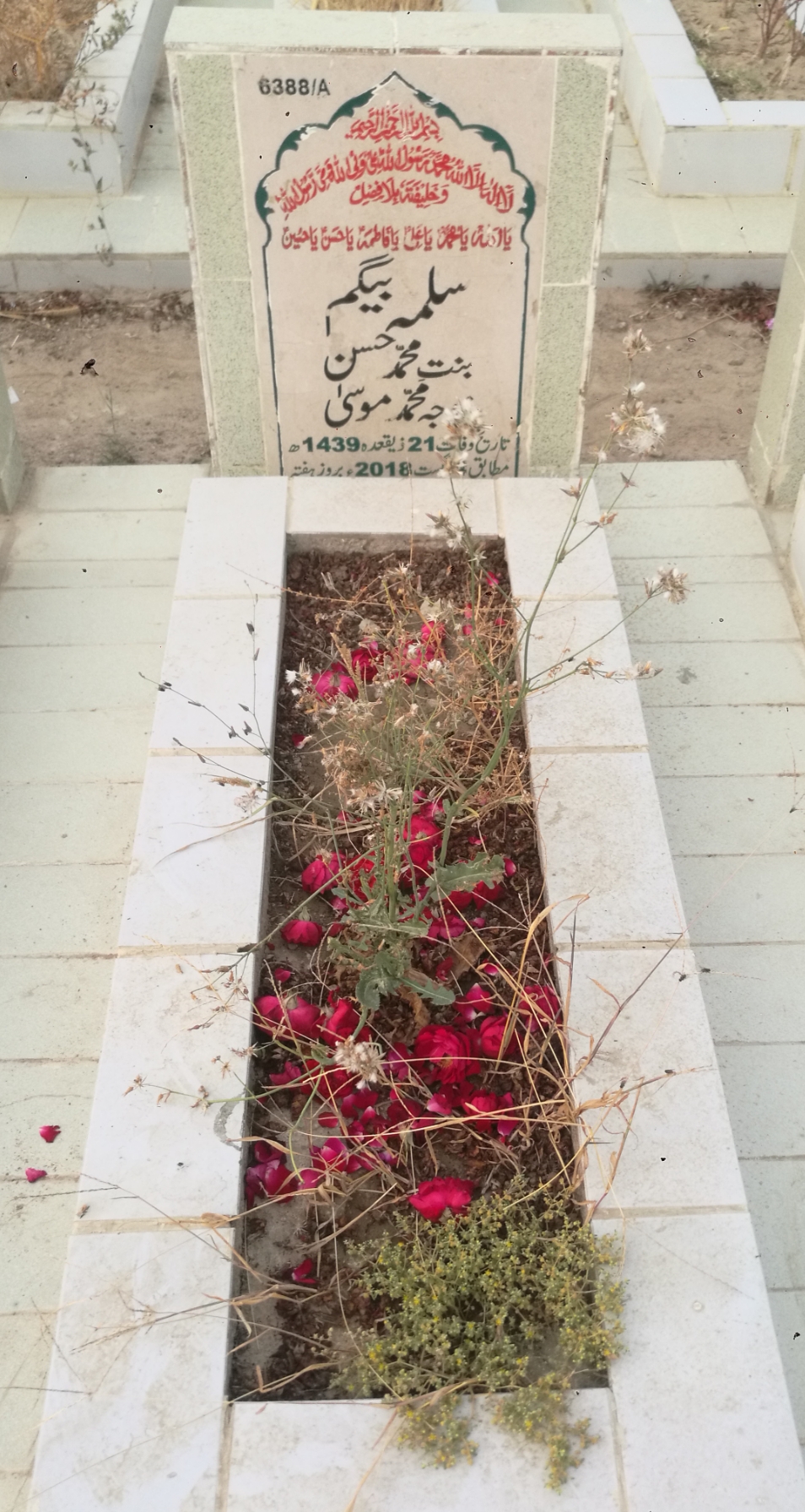 16388 – Salma Begum