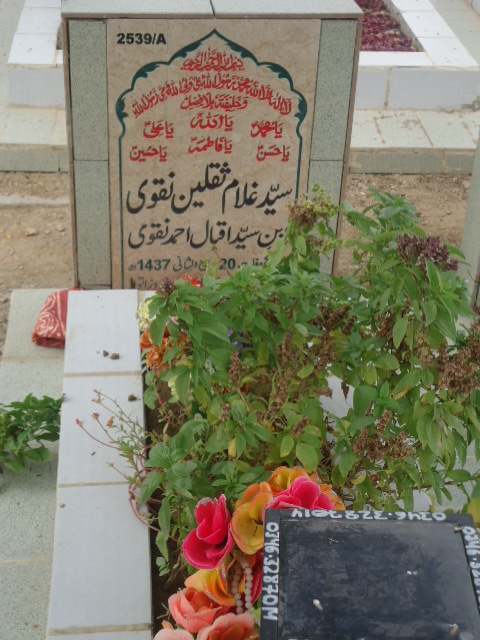 12539 – Syed Ghulam Saqlain Naqvi