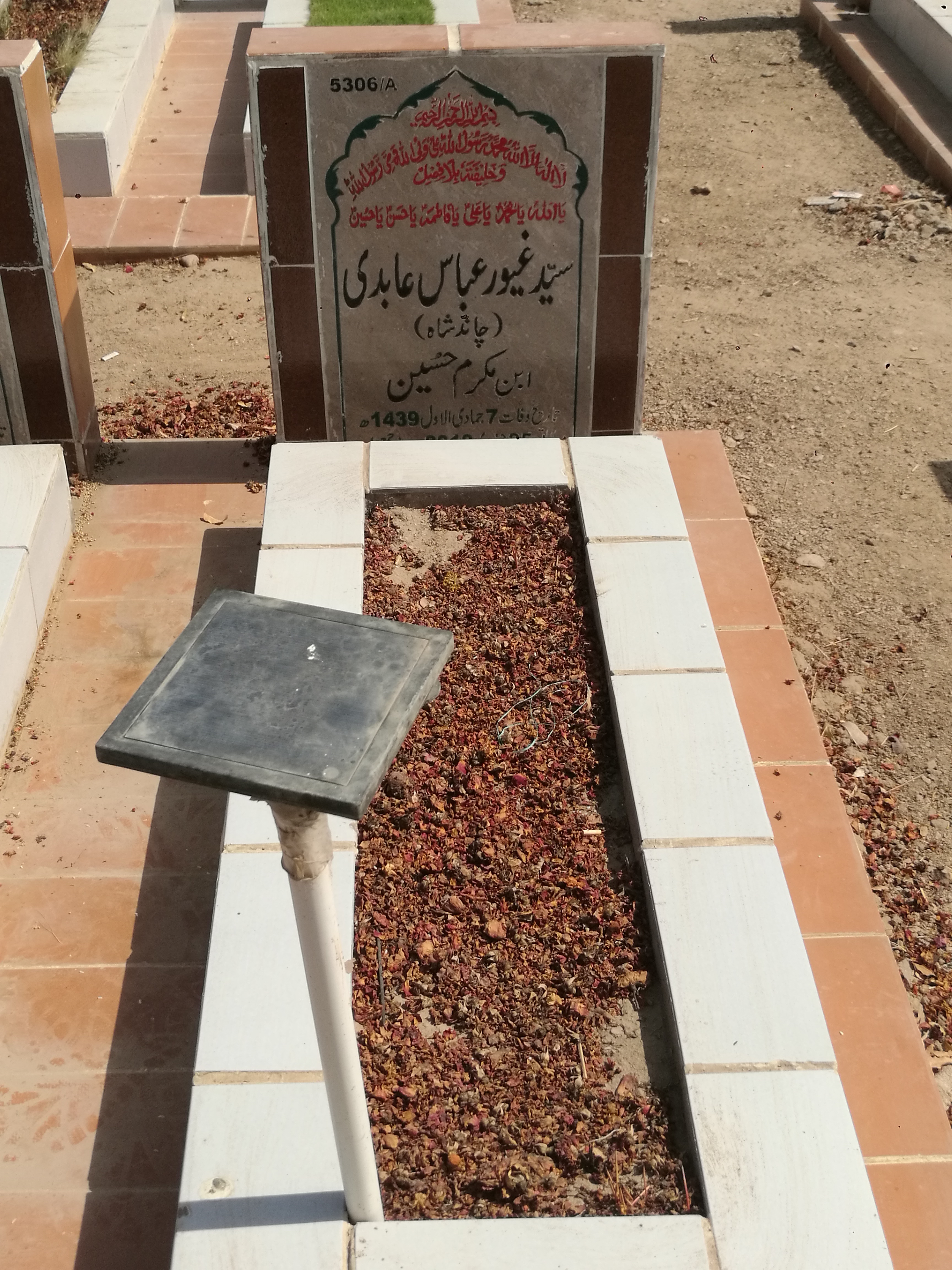 15306 – Syed Gayyour Abbas Abidi