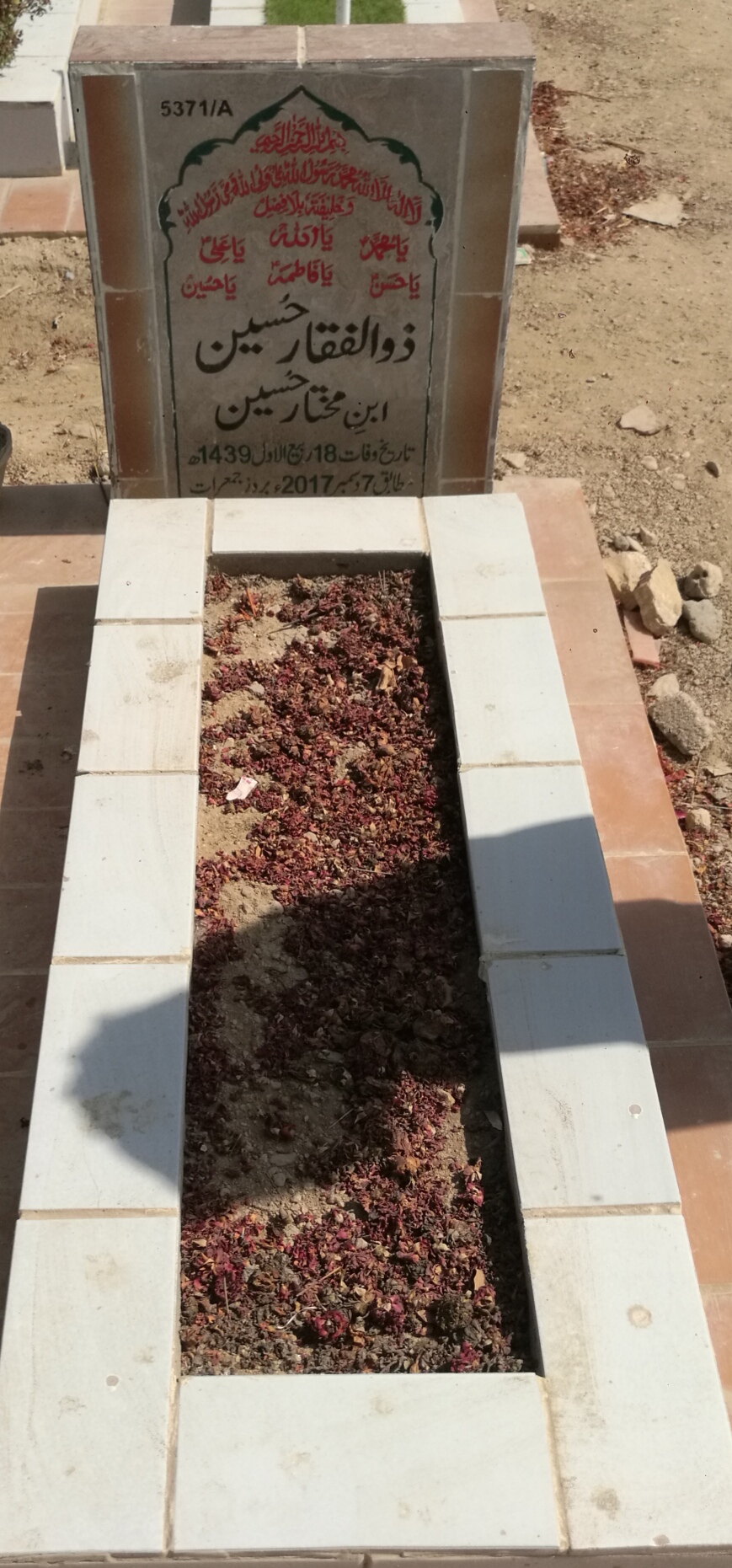 15371 – Zulfiqar Hussain