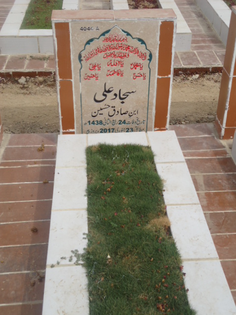 14046 – Sajjad Ali
