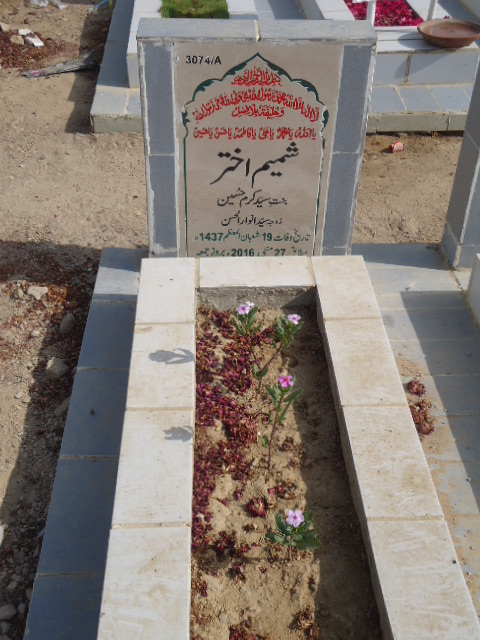 13074 – Shamim Akhtar