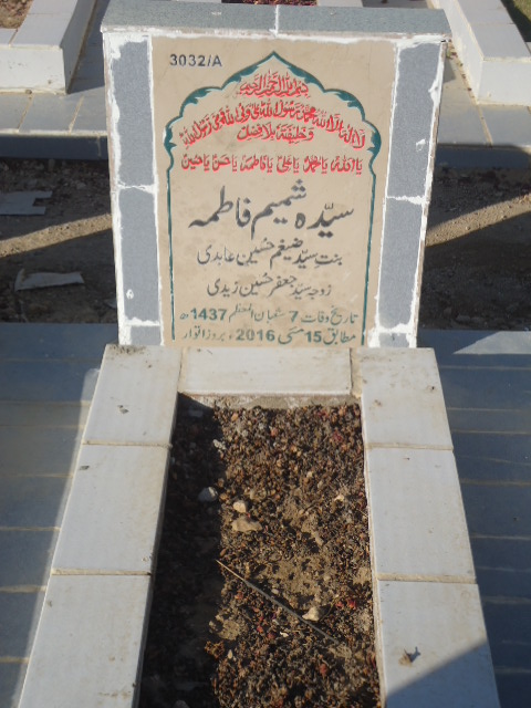 13032 – Syeda Shamim Fatima