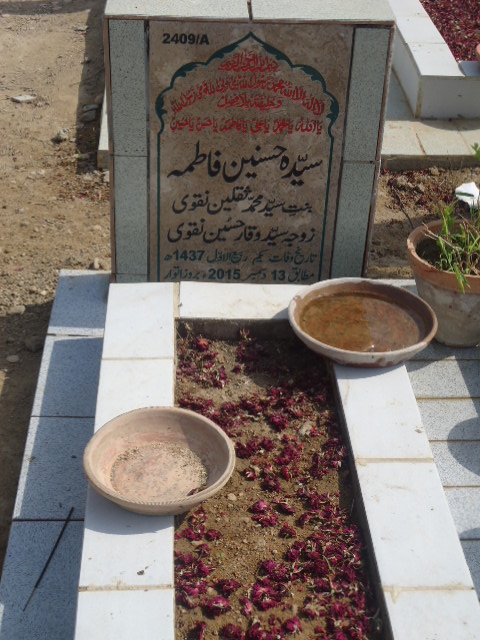 12409 – Syeda Hasnain Fatima