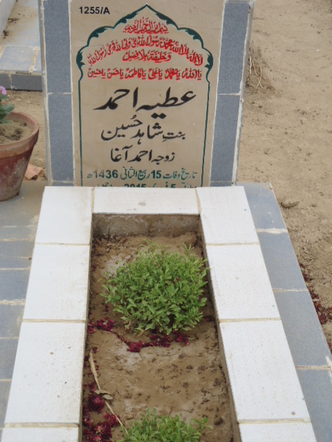 11255 – Atiya Ahmed