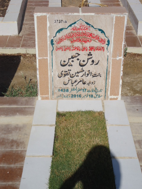 13737 – Roshan Jabeen
