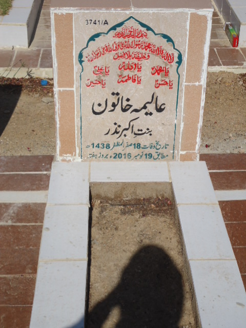 13741 – Alima Khatoon