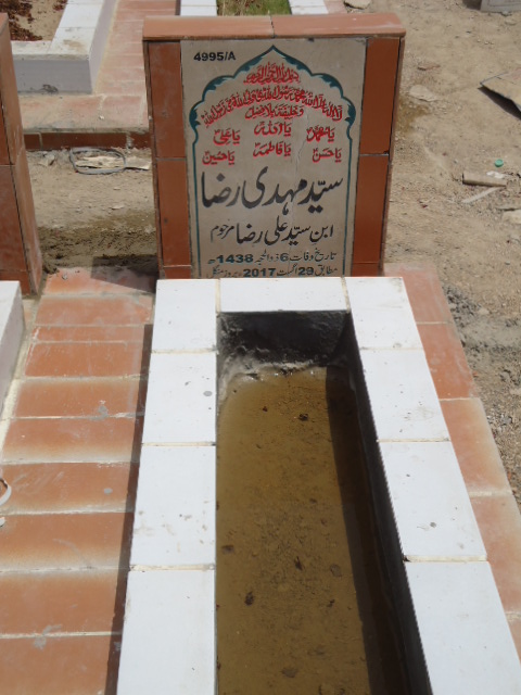 14995 – Syed Mehdi Raza
