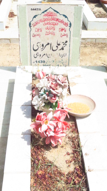 16447 – Muhammad Ali Amrohi