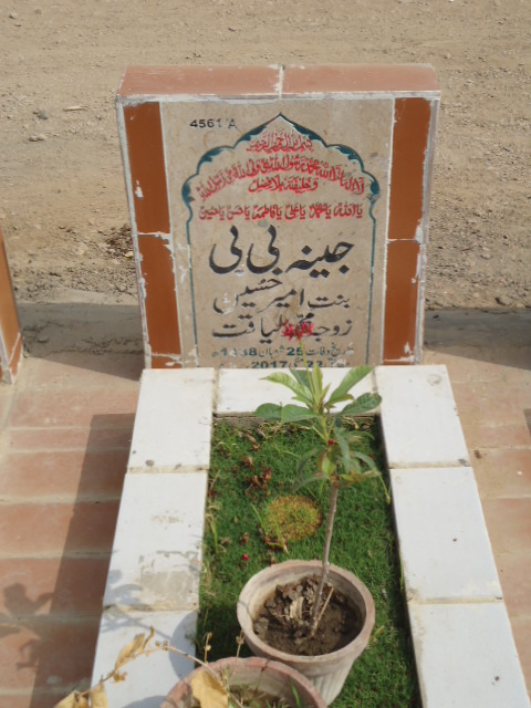 14561 – Jeena Bibi