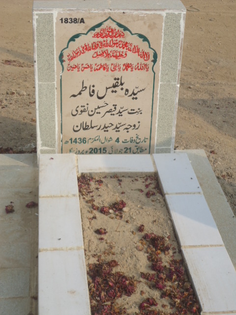 11838 – Syed Bilques Fatima
