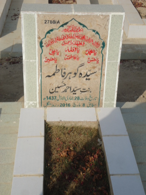 12780 – Syeda Gohar Fatima