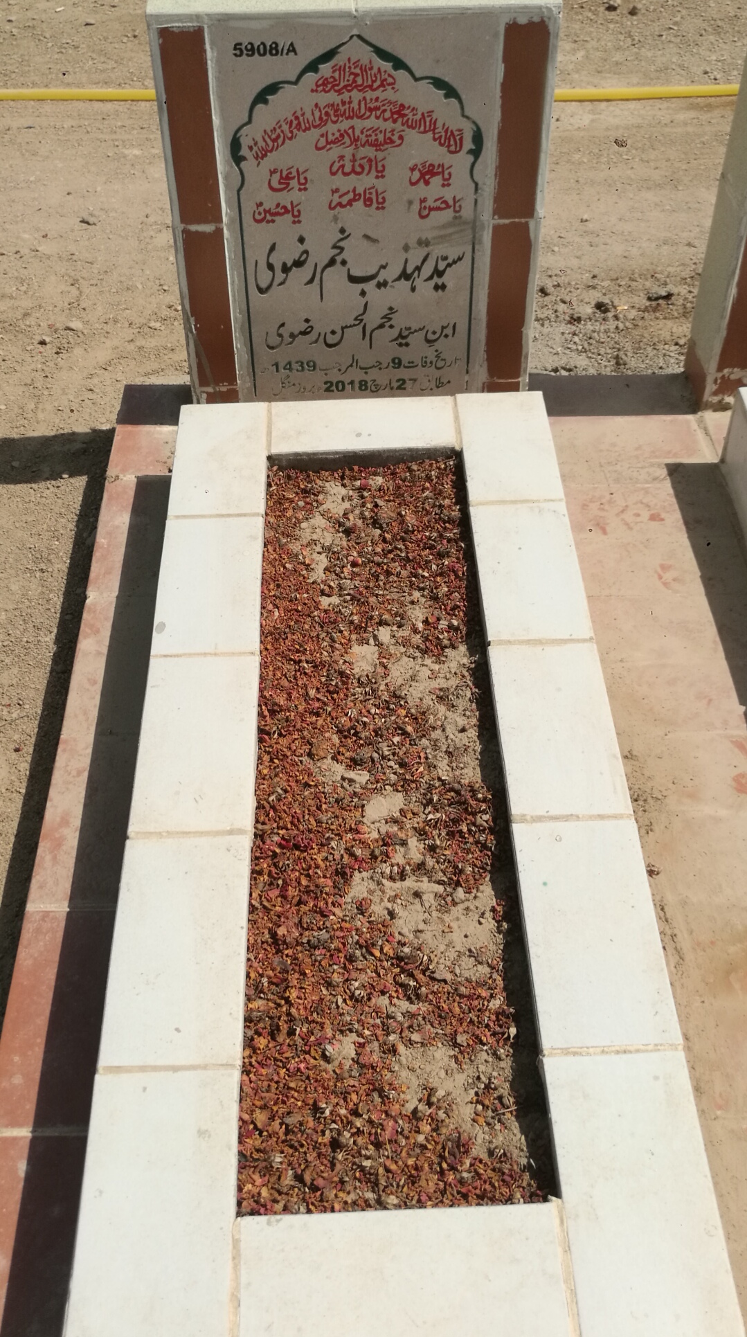 15908 – Syed Tehzeeb Najam Rizvi