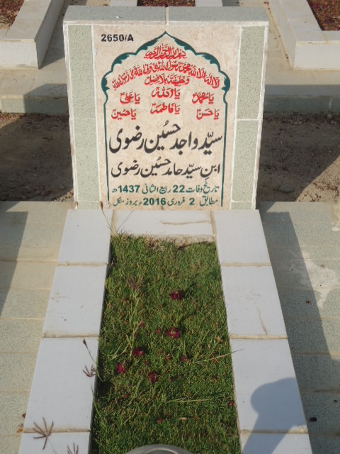 12650 – Syed Wajid Hussain Rizvi