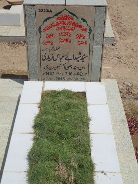 12223 – Syed Shehday Abbas Zaidi