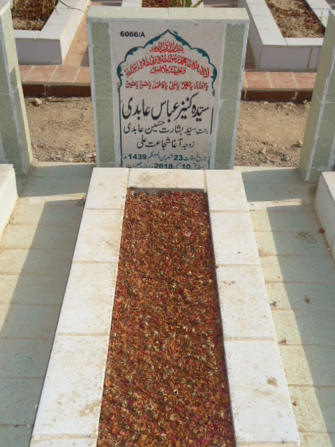 16066 – Syeda Kaneez Abbas Abidi