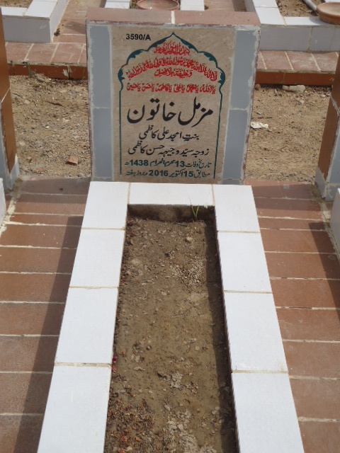 13590 – Muzamil Khatoon