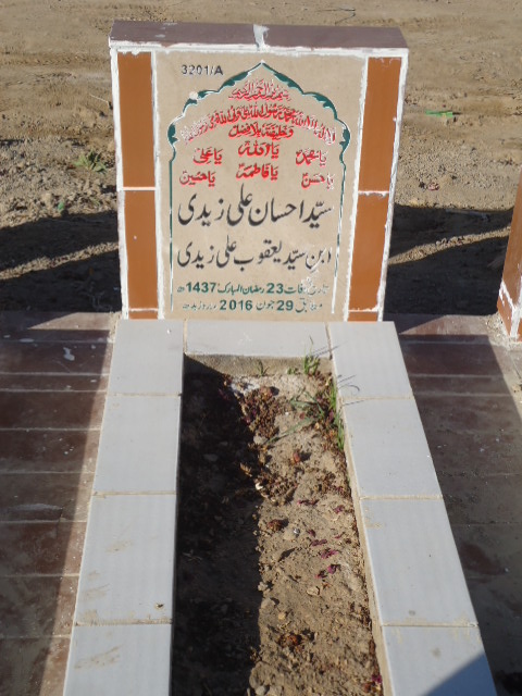 13201 – Syed Ahsan Ali Zaidi