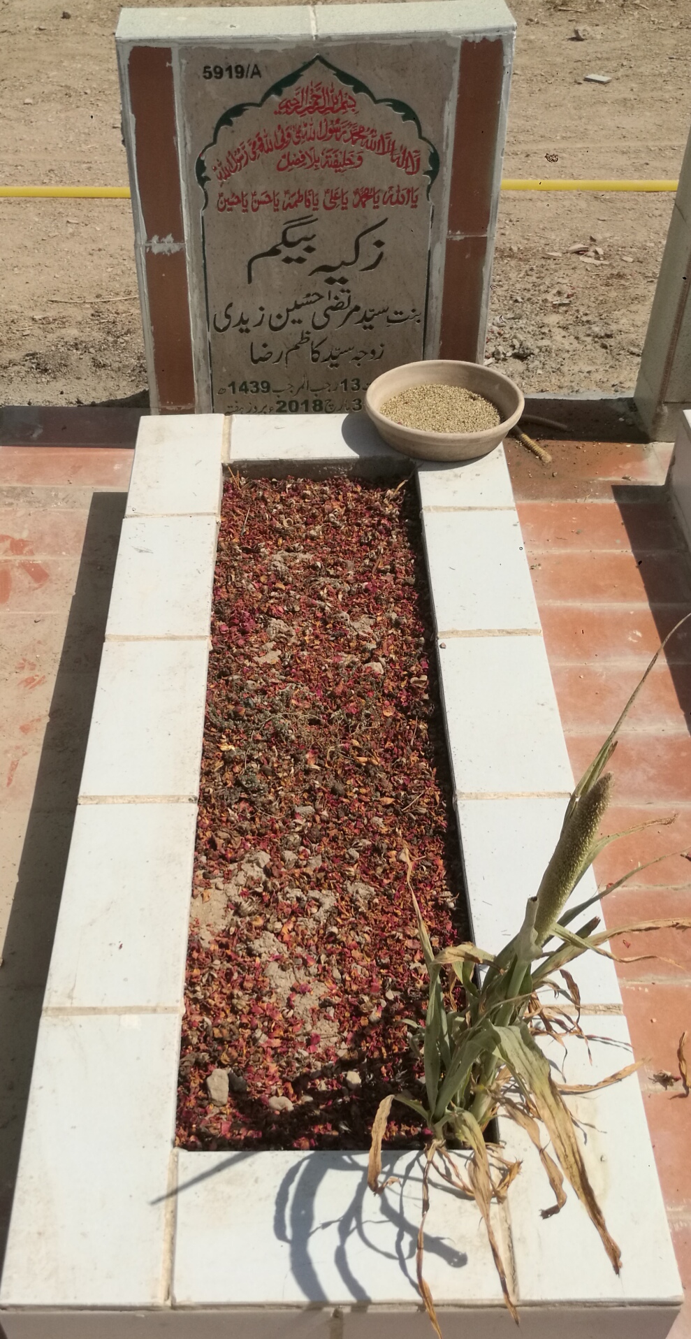 15919 – Zakia Begum