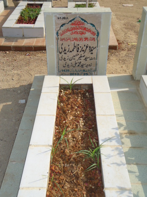 16130 – Syeda Aziz Fatima Zaidi