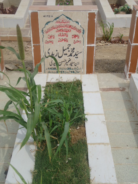 14172 – Syed Muhammad Jameel Zaidi
