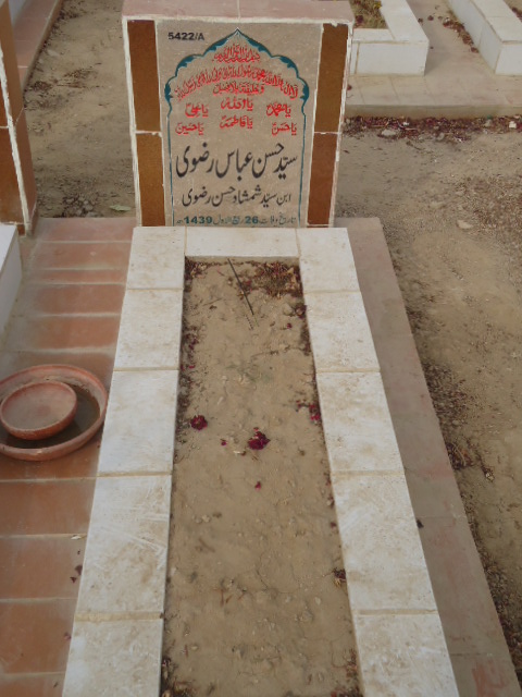 15422 – Syed Hassan Abbas Rizvi