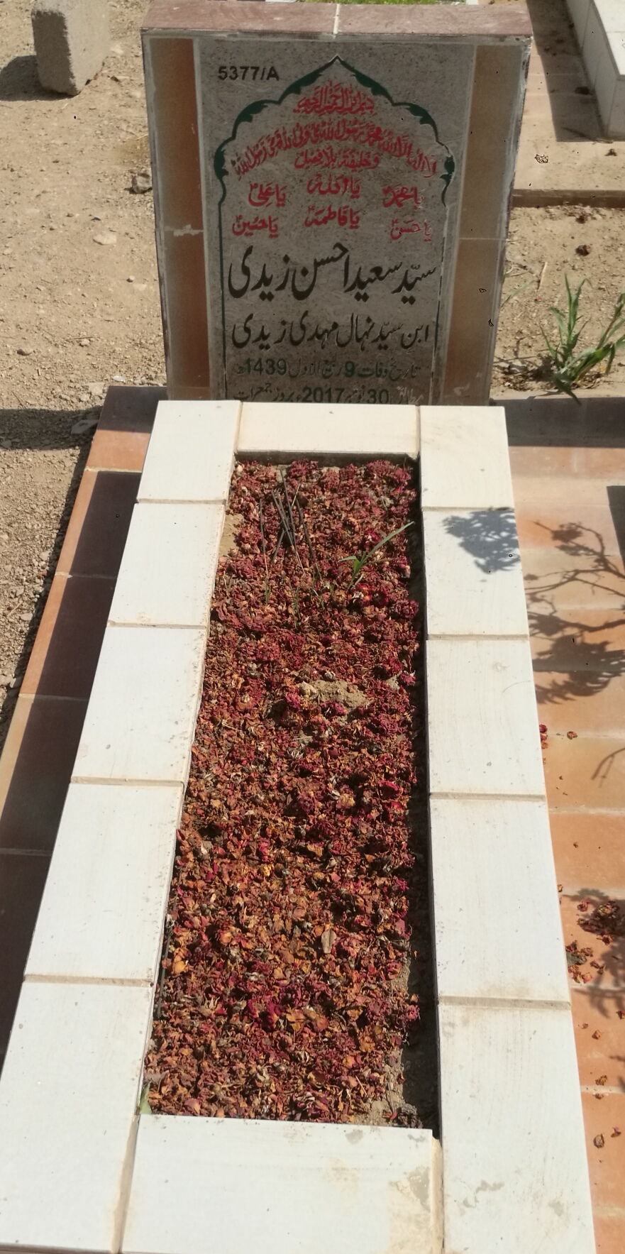 15377 – Syed Saeed Ahsan Zaidi
