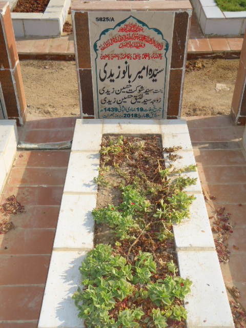 15825 – Syeda Ameer Bano Zaidi